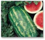 Hinkle Produce watermelons