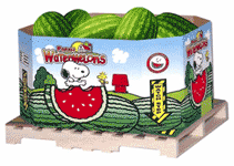 Snoopy watermelon bin